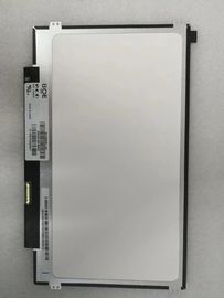 Beli BOE 11,6 